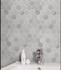 Oriental White Mosaic Polished 2" Hexagon 