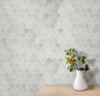 Oriental White Mosaic Polished 1" Hexagon